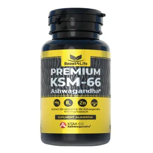 Ashwagandha KSM-66, Boost4Life | 60 capsule