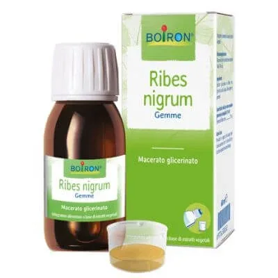 Ribes nigrum macerat gliceric 60 ml int — preț și oferte