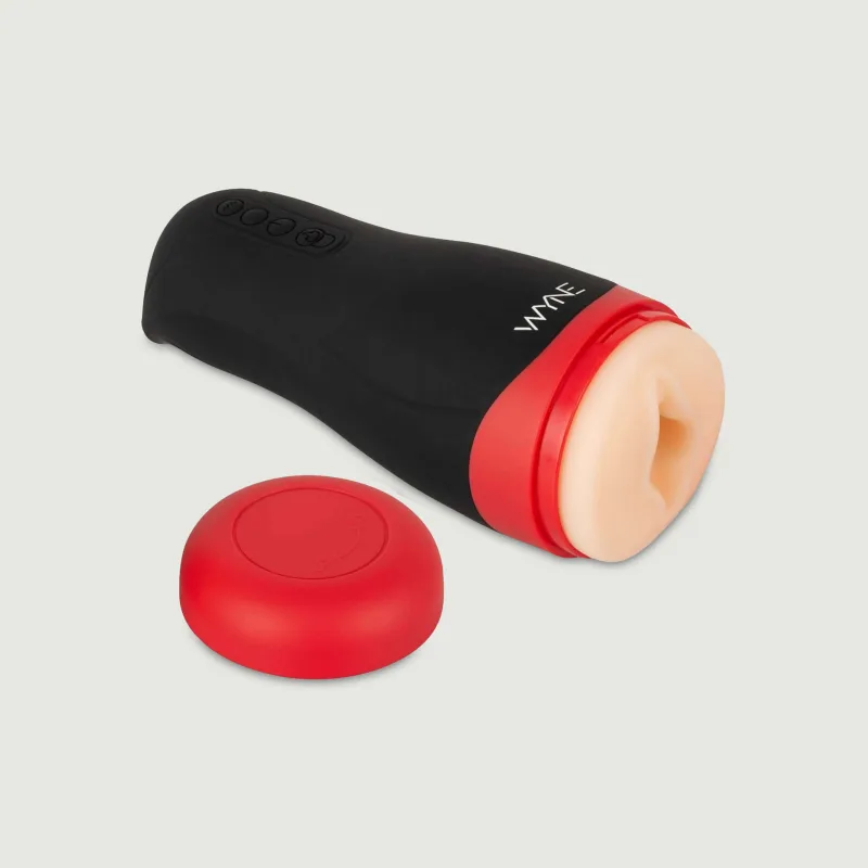 Masturbator cu încălzire și vibrații Wyne nr. 01 — preț și oferte