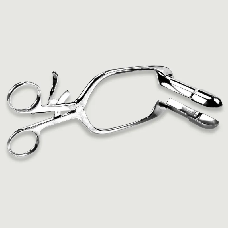 Speculum anal metalic Ultimate - argintiu — preț și oferte