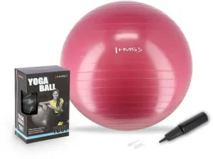 Abisal HMS Gymball prună 65 cm YB01