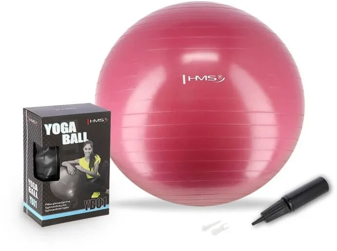 Abisal HMS Gymball prună 65 cm YB01 — preț și oferte