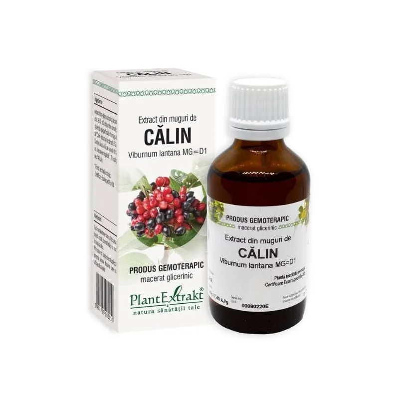 Extract din muguri de Calin, 50 ml, Plant Extrakt PLANTEXTRAKT — preț și oferte