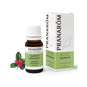 Pranarom Wintergreen Ulei esențial Sweet Wintergreen 10 ml, Gaultheria Procumbens