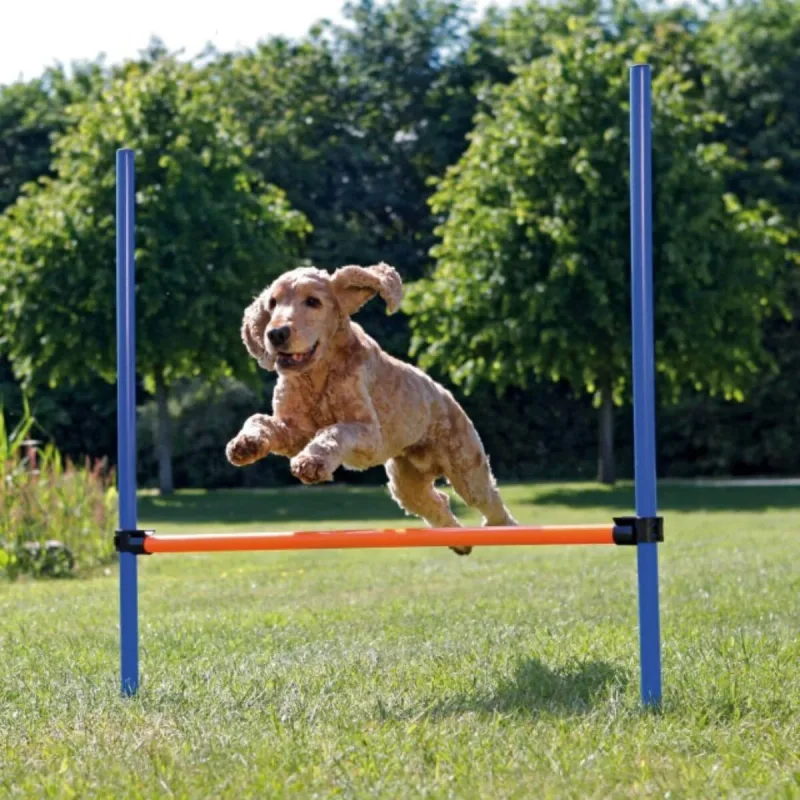 TRIXIE Agility Hurdle, jucărie obstacol câini, plastic, 129cm x 115cm x 3cm, albastru cu portocaliu — preț și oferte