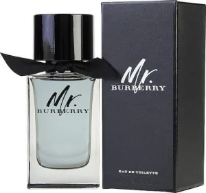 Burberry Mr. Burberry Apă de toaletă 100ml