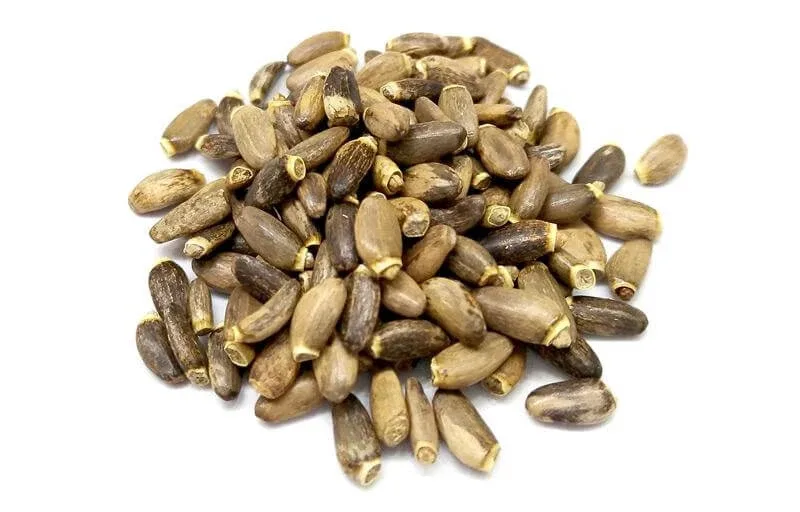 Ciulin de lapte în 100 g fructe — preț și oferte