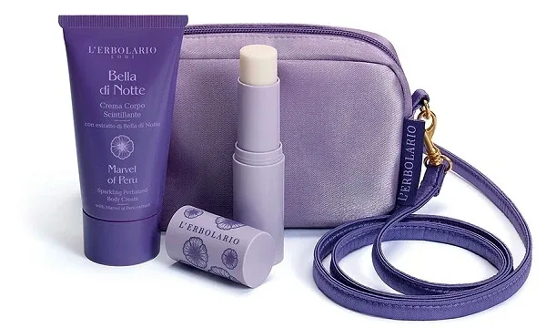 GEANTĂ MINI NIGHT BEAUTY — preț și oferte