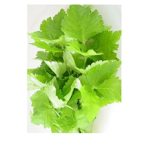 Perilla frunze tăiate ceai de plante 100 Gr — preț și oferte