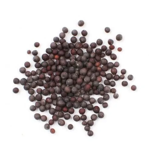 Mustar negru cu semințe întregi 100 Gr — preț și oferte