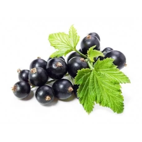 Fructe de coacăz negru 100 Gr — preț și oferte