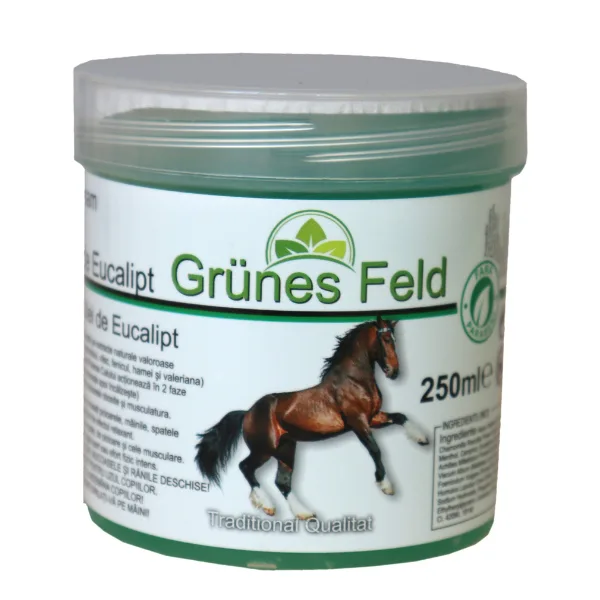 Gel Puterea Calului cu extract de eucalipt Grunes Feld, Elina Med | 250 ml ELINA MED INFINITY — preț și oferte