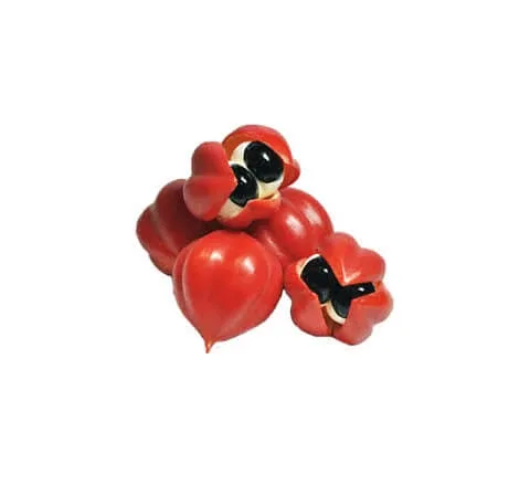 100 g semințe de guarana prăjite — preț și oferte