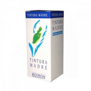 Tinctura mamă Lavandula Vera 60 Ml