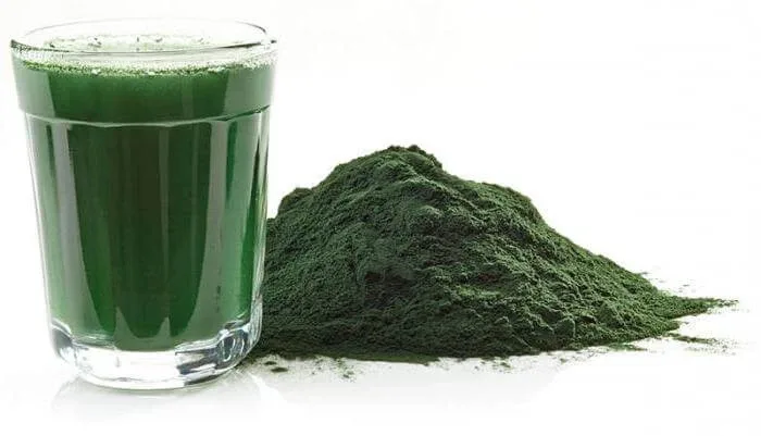 Chlorella Thallus Pulbere de alge marine 100 Gr — preț și oferte