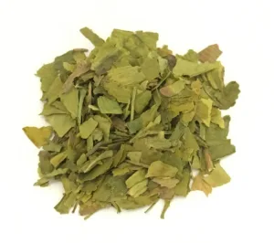 Ginkgo biloba frunze tăiate ceai de plante 100g