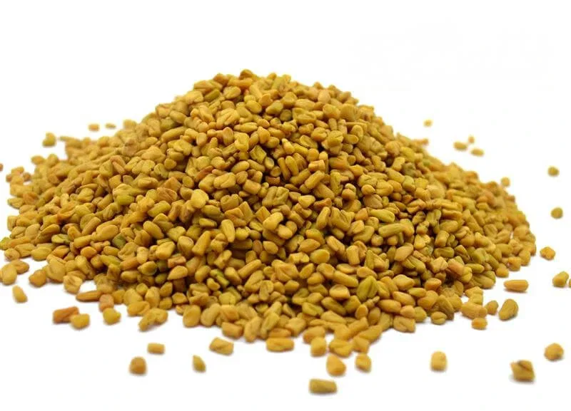 Schinduf în semințe întregi de Trigonella 100 g — preț și oferte