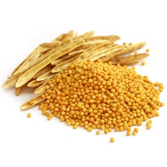 Semințe de muștar galben întregi 100 Gr — preț și oferte