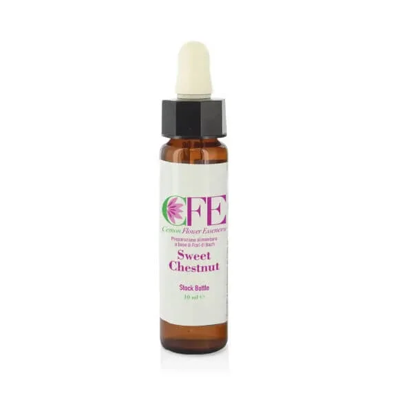 Sweet Chestnut Cfe Stock Sticlă 10ml — preț și oferte