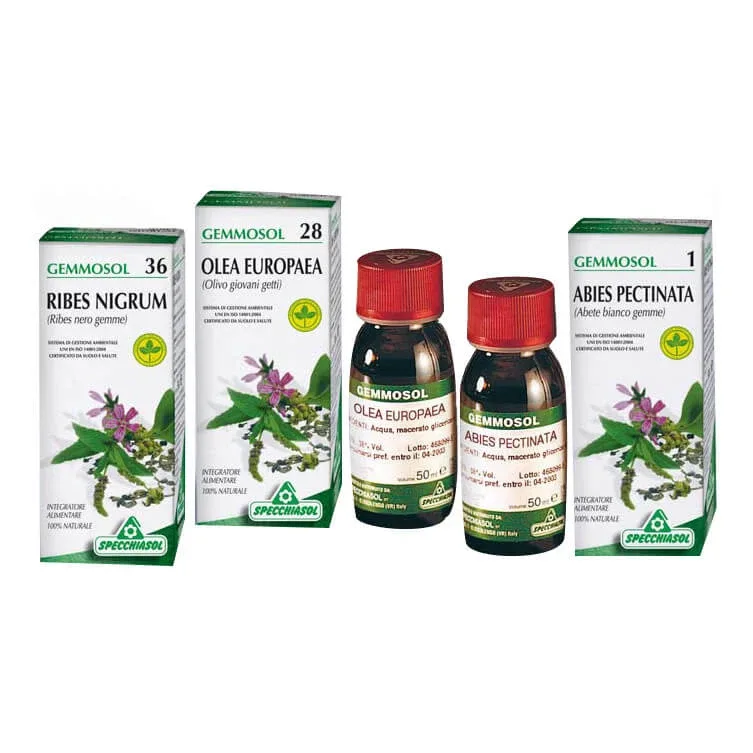 Coacăze negre 1 DH Muguri 50ml — preț și oferte