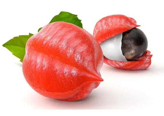 Guarana în ceai de plante tăiat din semințe prăjite 100 g — preț și oferte