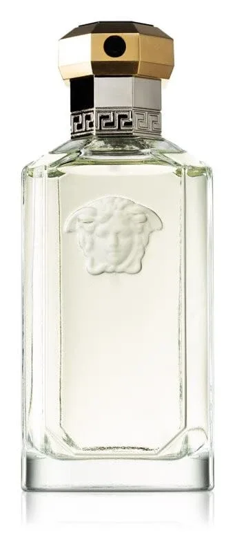 VERSACE DREAMER U EDT 100 VAPO — preț și oferte