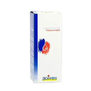 Fraxinus Americana 60ml Tm