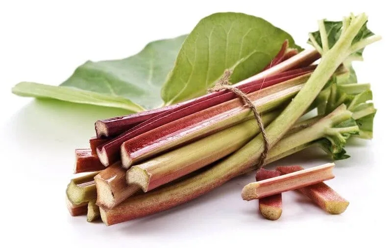 Rizom de rubarbă pulbere 100 g — preț și oferte