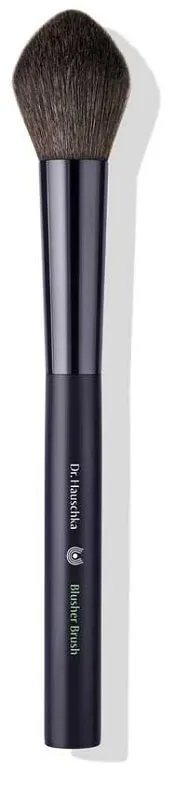 DR HAUSCHKA MAL BLUSH BRUSH — preț și oferte