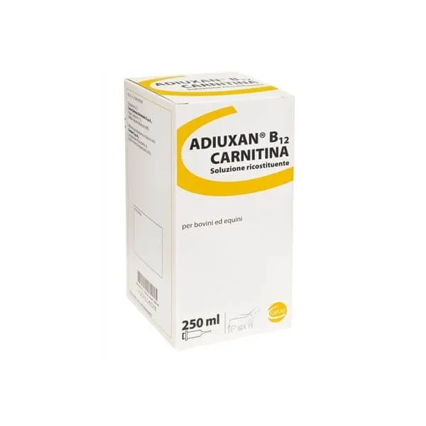 Rossovet Carnitină*fl 500ml — preț și oferte