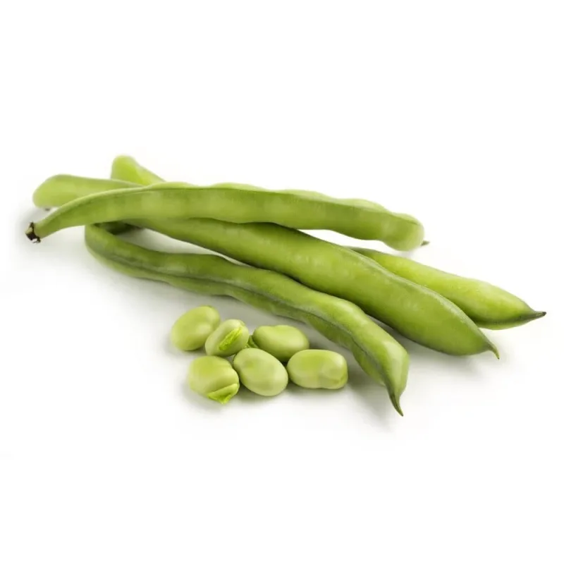 Făină de fasole Fava sau fasole întreagă 100 g pentru utilizare pe bază de plante — preț și oferte