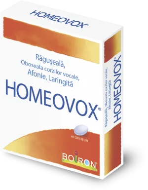 HOMEOVOX X 60