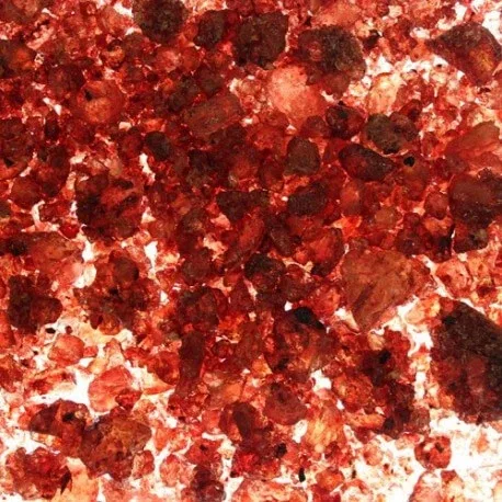 Rezină din sânge de dragon 100 Gr — preț și oferte
