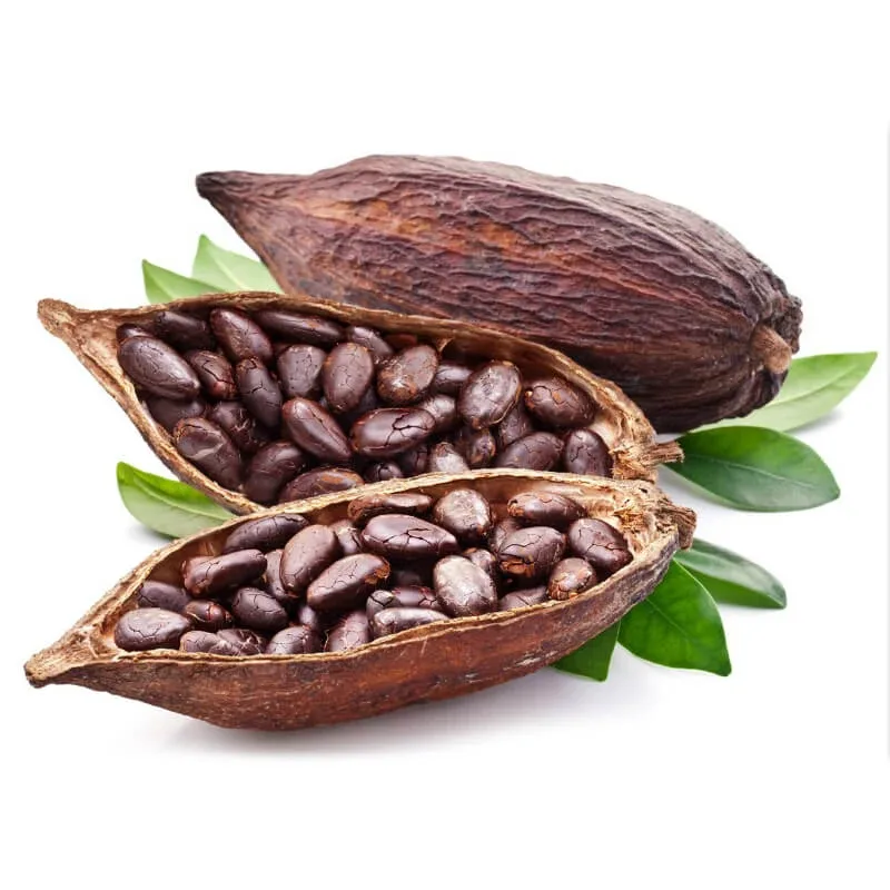 Boabe întregi de cacao uscate 100g — preț și oferte