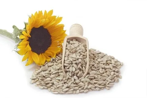 Semințe de floarea soarelui decojite 100 g — preț și oferte