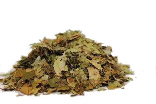 Witch Hazel frunze tăiate ceai de plante 100 Gr — preț și oferte