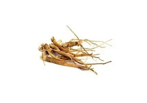 Pfaffia Paniculata Rădăcină de tăiat ceai din plante