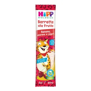 HiPP Fruit Bar Banană Cireșe negre Iaurt organic 25g