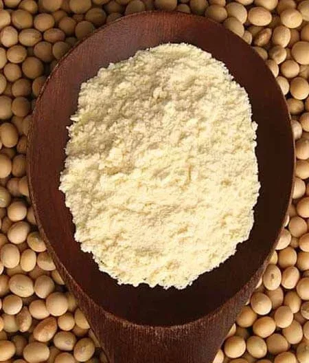 Făină de soia galbenă 100 Gr — preț și oferte
