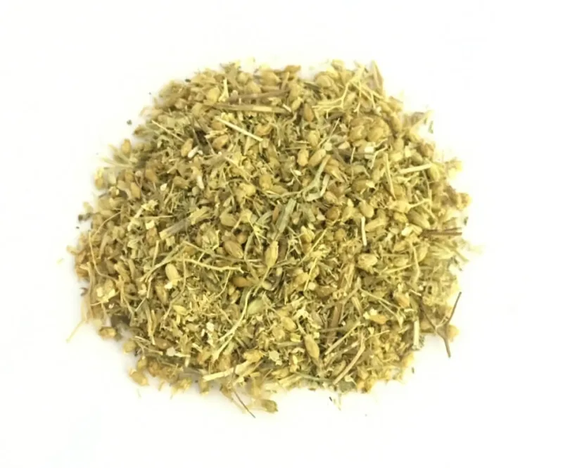 Yarrow millefoglie cu vârf înflorit în tăierea ceaiului de plante — preț și oferte
