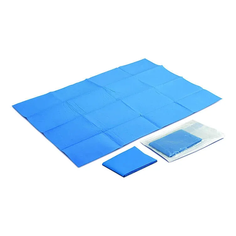 prelată de unică folosință cm35x50 SIGURANȚĂ — preț și oferte
