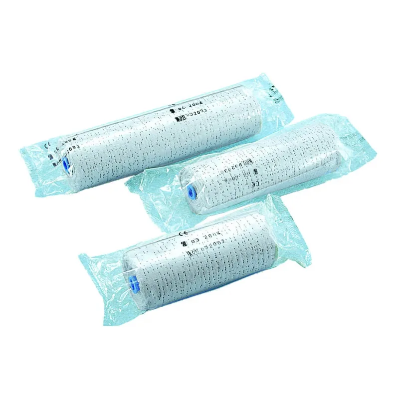 BANDAJ GESS CU ÎNTĂRIRE RAPIDĂ 10CM — preț și oferte