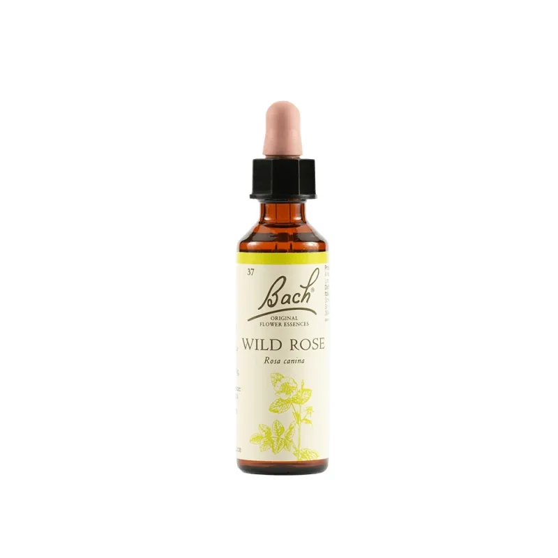 Wild Rose Bach Original 20 Ml — preț și oferte