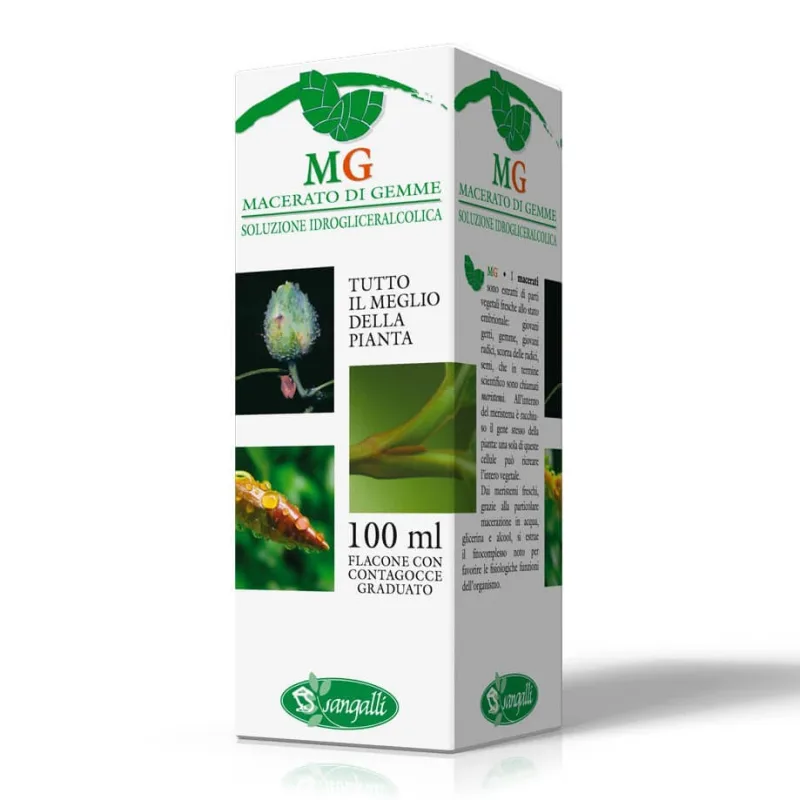 PĂDUCEL 100ML M.G. — preț și oferte