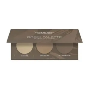 Pierre rene Brow palette - paletă de farduri de ochi - maro închis