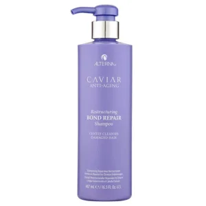 Șampon Alterna pentru păr deteriorat, 487ml