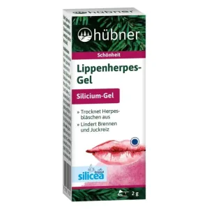 HÜbner gel pentru răni reci 2 g