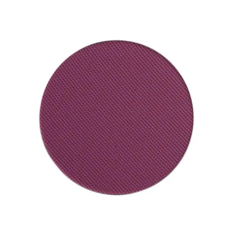 Pierre René Matte Insets – sistem de asortare a paletelor, fard de ochi reîncărcabil nr. 105 — preț și oferte