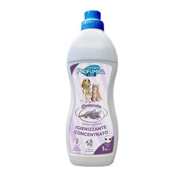 DETERGENT CONCENTRAT SANITIZANT LAVANDA 1 LT *** LIPSĂ TEMPORARĂ DE LA PRODUCĂTOR *** — preț și oferte