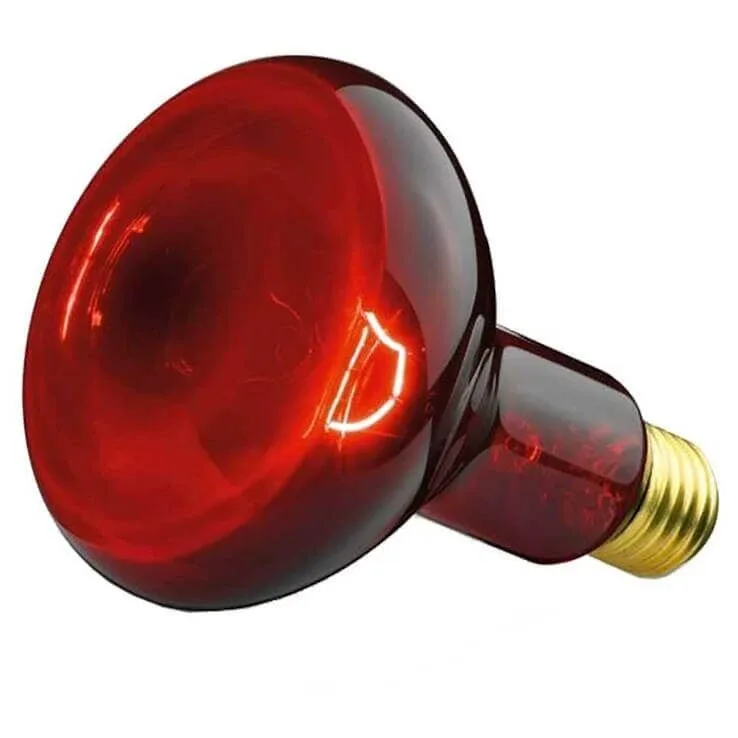 Bec Beurer cu lumină infraroșie 100 W, 1 buc. n.v. — preț și oferte